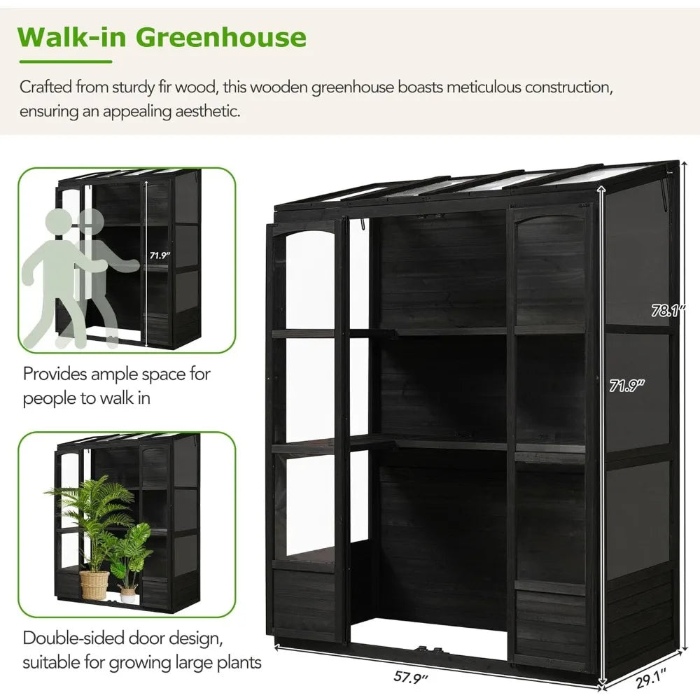 78-inch Wooden Greenhouse Cold Frame with 4 Independent Skylights and 2 Folding Middle Shelves