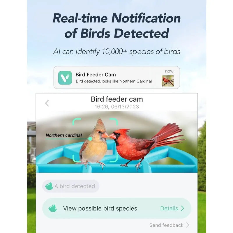 Feeder with Camera Wireless Outdoor, 1080P Wild Bird Feeders, Squirrel Proof, Auto Bird Video Storage & Instant Notifications