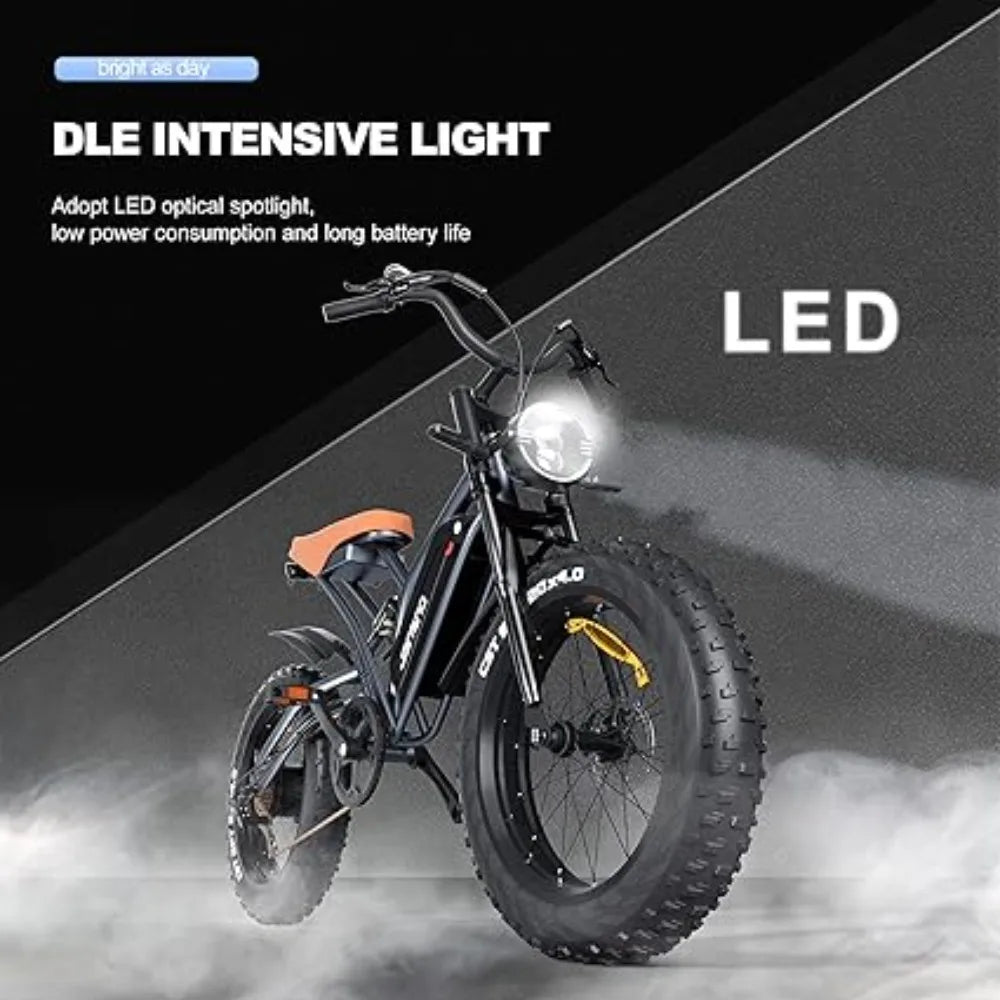 Electric Bike 20" x 4.0 for Adults,750W Brushless Motor, Long-Lasting Upgrade48V 14Ah Removable Battery